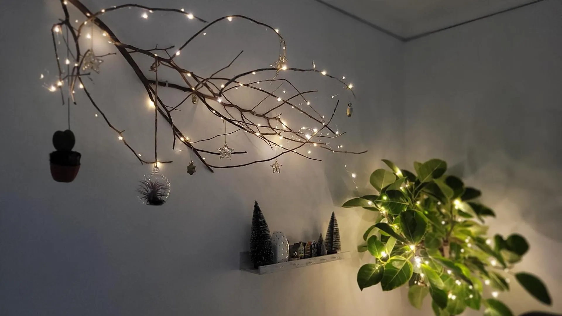 Como Green House 부산광역시