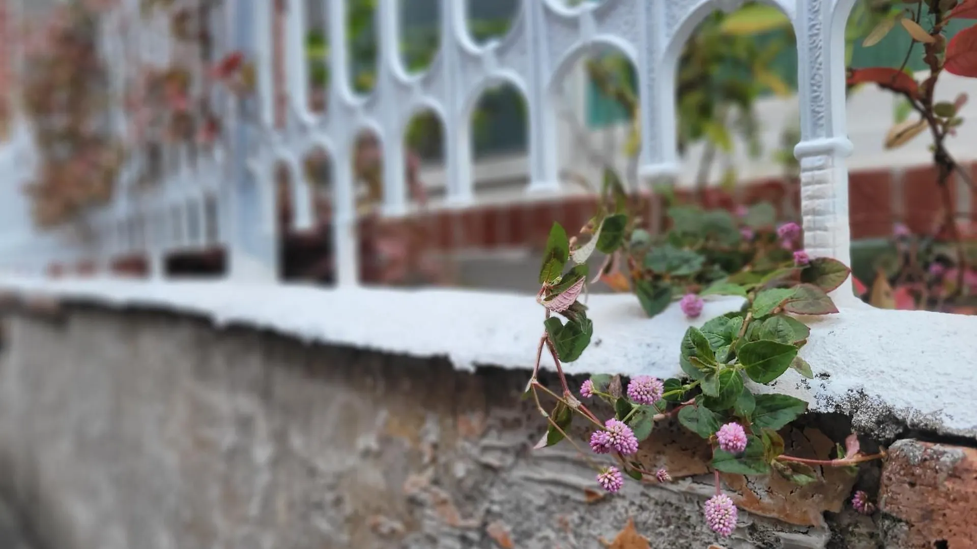 Como Green House 부산광역시 0*,  대한민국