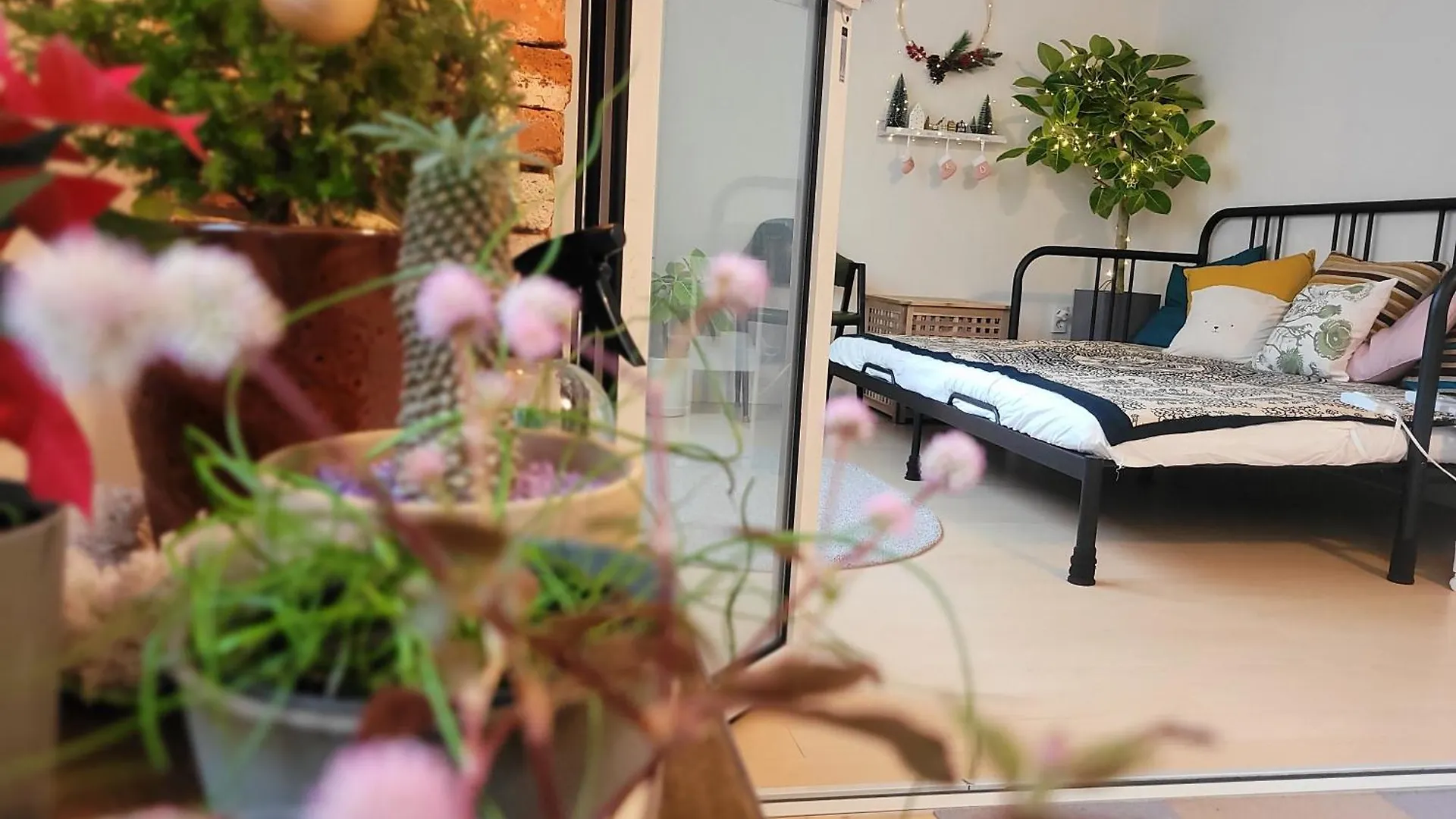 Como Green House 부산광역시 펜션
