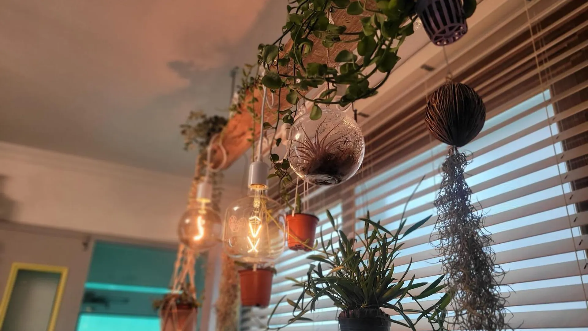 Como Green House 부산광역시 펜션