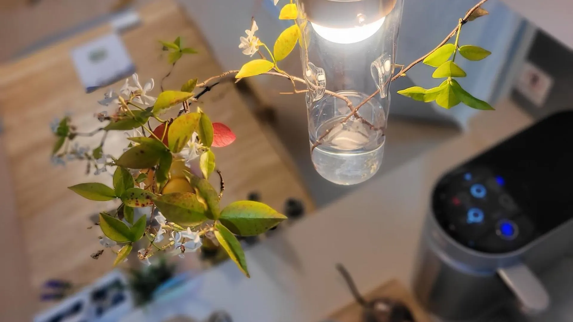 Como Green House 부산광역시